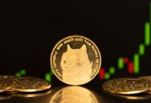 ¿Por Qué Sube el Precio de Dogecoin Hoy? ¡Descubre Cómo DOGE Puede Alcanzar un Nuevo Récord de $5! - Cripto Boom