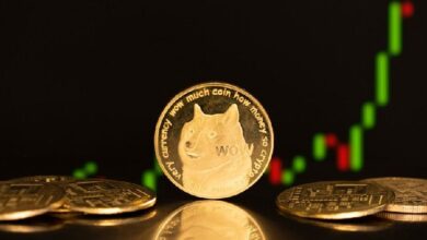 ¿Por Qué Sube el Precio de Dogecoin Hoy? ¡Descubre Cómo DOGE Puede Alcanzar un Nuevo Récord de $5! - Cripto Boom