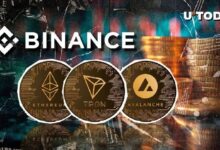 Binance Emite Importante Alerta para Retiros de ETH, TRX y AVAX: ¡Infórmate Ahora! - Cripto Boom