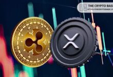 Ripple Destaca Precio de XRP, Volatilidad y Volúmenes Spot en Informe de Mercados del T3 2024: Descubre Más - Cripto Boom