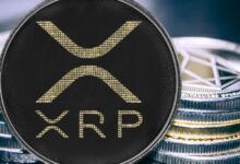 Precio de XRP Resiste Sobre $0.50 Incluso con Mercados en Rojo - Descubre por Qué! - Cripto Boom