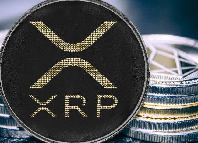 Precio de XRP Resiste Sobre $0.50 Incluso con Mercados en Rojo - Descubre por Qué! - Cripto Boom