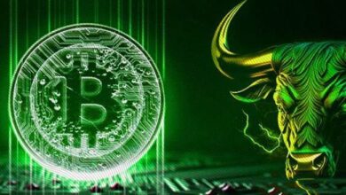 Bitcoin se Apunta a $97,000: Señales de Impulso Alcista Indican Gran Potencial ¡Descúbrelo! - Cripto Boom