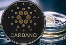 Fundación Cardano Impulsa la Adopción de Cardano como Infraestructura Pública Global: Descubre Cómo Participar - Cripto Boom