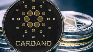 Fundación Cardano Impulsa la Adopción de Cardano como Infraestructura Pública Global: Descubre Cómo Participar - Cripto Boom