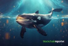 Ballena Cripto Compra 6.13 Millones de Tokens $SLERF tras Vender $2.62 Millones en Solana: Descubre por Qué - Cripto Boom