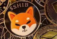 ¡Shiba Inu se apunta a $0.00006! CoinMarketCap lo clasifica 11º con una capitalización de $14 mil millones - Cripto Boom