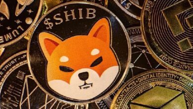 ¡Shiba Inu se apunta a $0.00006! CoinMarketCap lo clasifica 11º con una capitalización de $14 mil millones - Cripto Boom