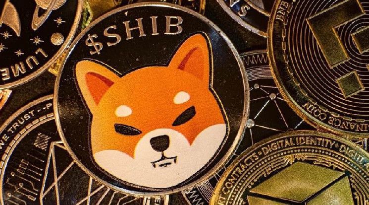 ¡Shiba Inu se apunta a $0.00006! CoinMarketCap lo clasifica 11º con una capitalización de $14 mil millones - Cripto Boom