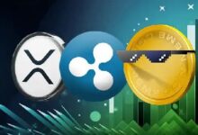 Auge de Memecoins de Ripple Tras Movimiento de Precio de XRP: Análisis detallado - Cripto Boom