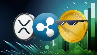 Auge de Memecoins de Ripple Tras Movimiento de Precio de XRP: Análisis detallado - Cripto Boom