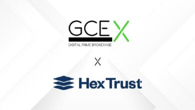 "GCEX Amplía Soluciones de Custodia Cripto con Nuevo Servicio de Hex Trust: ¡Descubre Más!" - Cripto Boom