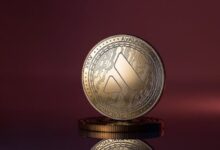 AVAX Apunta a un Rally del 35%: Factores Clave que Impulsan el Éxito de Avalanche – Descubre Más Ahora - Cripto Boom