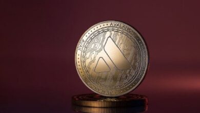 AVAX Apunta a un Rally del 35%: Factores Clave que Impulsan el Éxito de Avalanche – Descubre Más Ahora - Cripto Boom