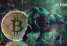 Bitcoin (BTC) Entra en Fase Crucial de Carrera Alcista: Predicción del Inversor Ari Paul, ¡Descubre Más! - Cripto Boom