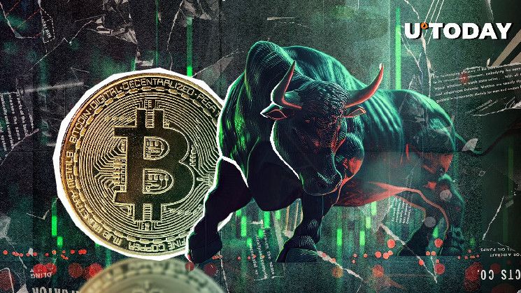 Bitcoin (BTC) Entra en Fase Crucial de Carrera Alcista: Predicción del Inversor Ari Paul, ¡Descubre Más! - Cripto Boom