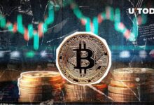 ¡Bitcoin se dispara un 500%! Desde el histórico desplome por debajo de $16,000 hace dos años - Cripto Boom