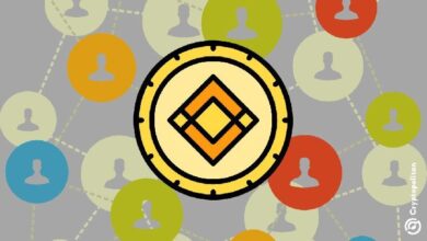 Binance supera los 240 millones de usuarios registrados tras el último auge cripto: ¡Descubre más! - Cripto Boom