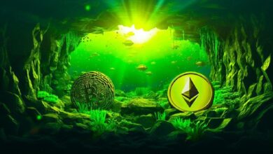 Ethereum Cerca de Suelo Frente a Bitcoin, Según el Analista Benjamin Cowen – ¡Descubre Por Qué! - Cripto Boom