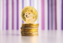 Precio de Dogecoin listo para un 'movimiento parabólico', según analista: ¡Descubre más! - Cripto Boom