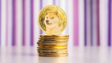 Precio de Dogecoin listo para un 'movimiento parabólico', según analista: ¡Descubre más! - Cripto Boom