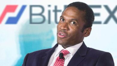 ¡Descubre el Altcoin que Compró el Ex-CEO de BitMEX Arthur Hayes tras Vender sus Monedas ATH con Pérdidas! Aquí los Detalles - Cripto Boom