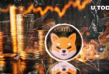 ¡Aumento del 49,464% en Quemas de SHIB: Descubre Qué Está Pasando! - Cripto Boom