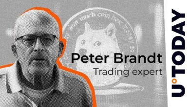 ¿Máximo Histórico de Dogecoin en el Horizonte? El Veterano Trader Peter Brandt Revela una Predicción Alcista para DOGE ¡Descúbrela! - Cripto Boom