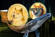 Ballenas de Dogecoin Impulsan Memecoin con Compra de $214.5 Millones: Descubre Más Aquí - Cripto Boom