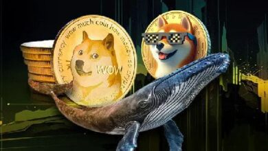 Ballenas de Dogecoin Impulsan Memecoin con Compra de $214.5 Millones: Descubre Más Aquí - Cripto Boom