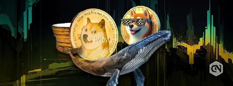 Ballenas de Dogecoin Impulsan Memecoin con Compra de $214.5 Millones: Descubre Más Aquí - Cripto Boom