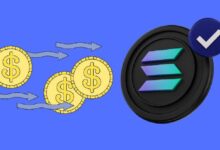 Solana registra un récord diario de nuevas stablecoins: Descubre los detalles ahora - Cripto Boom