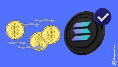 Solana registra un récord diario de nuevas stablecoins: Descubre los detalles ahora - Cripto Boom