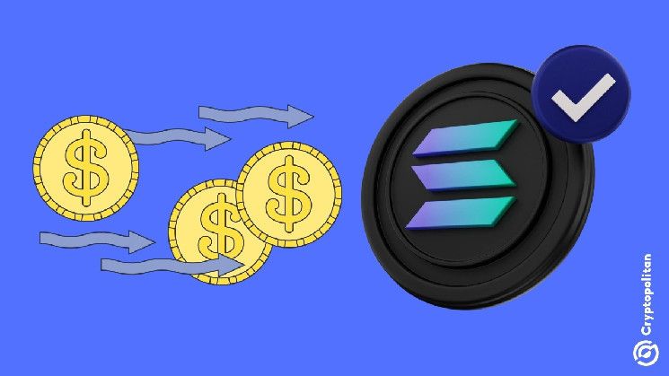 Solana registra un récord diario de nuevas stablecoins: Descubre los detalles ahora - Cripto Boom