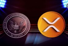 Especulación sobre Apelación de la SEC Impulsa el Aumento de XRP: Ex-Abogado Prevê Resultados para Enero, ¡Descubre Más! - Cripto Boom