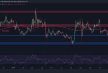 Análisis del Precio de Ripple: ¿Está XRP al Borde de una Subida Explosiva a $0.7? ¡Descúbrelo Ahora! - Cripto Boom