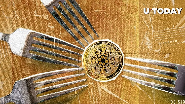 Semana Crucial para ADA: Hardfork Chang de Cardano Presenta Dos Actualizaciones Clave - Descubre Más - Cripto Boom