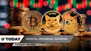 Reversión Crucial del Precio de Bitcoin a $68,685: ¡Shiba Inu Inicia su Recuperación y el Regreso del Mercado Alcista de Dogecoin Está Asegurado! - Cripto Boom