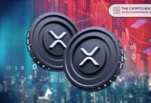 Experto Afirma que Estamos Listos para un Aumento de XRP - ¡Descubre más! - Cripto Boom