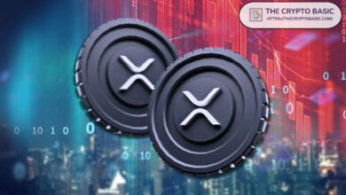 Experto Afirma que Estamos Listos para un Aumento de XRP - ¡Descubre más! - Cripto Boom