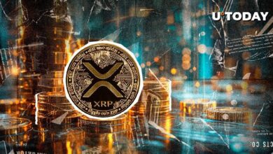 XRP Podría Estar Sobrecalentado: Datos de Liquidación Indican Tensión Significativa - Descubre Más - Cripto Boom