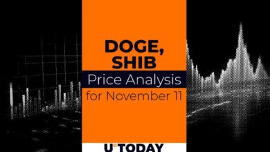 Predicción de Precio DOGE y SHIB para el 11 de Noviembre: ¡Descubre el Futuro del Cripto! - Cripto Boom