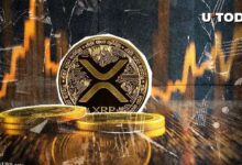 ¡El Volumen de XRP se Dispara un 81% Durante la Venta Masiva de $504 Millones en el Mercado! - Cripto Boom