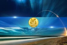 ¡El Precio de Dogecoin (DOGE) se Dispara un 22% en Horas! Descubre Por Qué - Cripto Boom