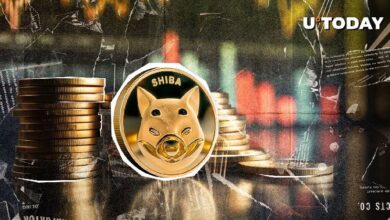 33 Trillones de Shiba Inu (SHIB) Pierden Impulso: ¿Qué Está Ocurriendo? ¡Descúbrelo! - Cripto Boom