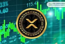 Inversionista Macro Advierte: El Tiempo para XRP se Agota Mientras los Días por Debajo de su Máximo Histórico Están Contados - ¡Descubre Más Aquí! - Cripto Boom