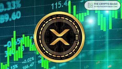 Inversionista Macro Advierte: El Tiempo para XRP se Agota Mientras los Días por Debajo de su Máximo Histórico Están Contados - ¡Descubre Más Aquí! - Cripto Boom