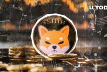 Shiba Inu (SHIB): ¡Rechazado el Cruce Dorado! Descubre los Detalles - Cripto Boom