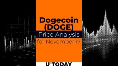 Predicción del Precio de DOGE para el 17 de Noviembre: ¿Subirá? - Cripto Boom