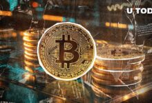 Domina Bitcoin (BTC) con un 60%: Descubre el Impacto del Cambio de Precio - Cripto Boom